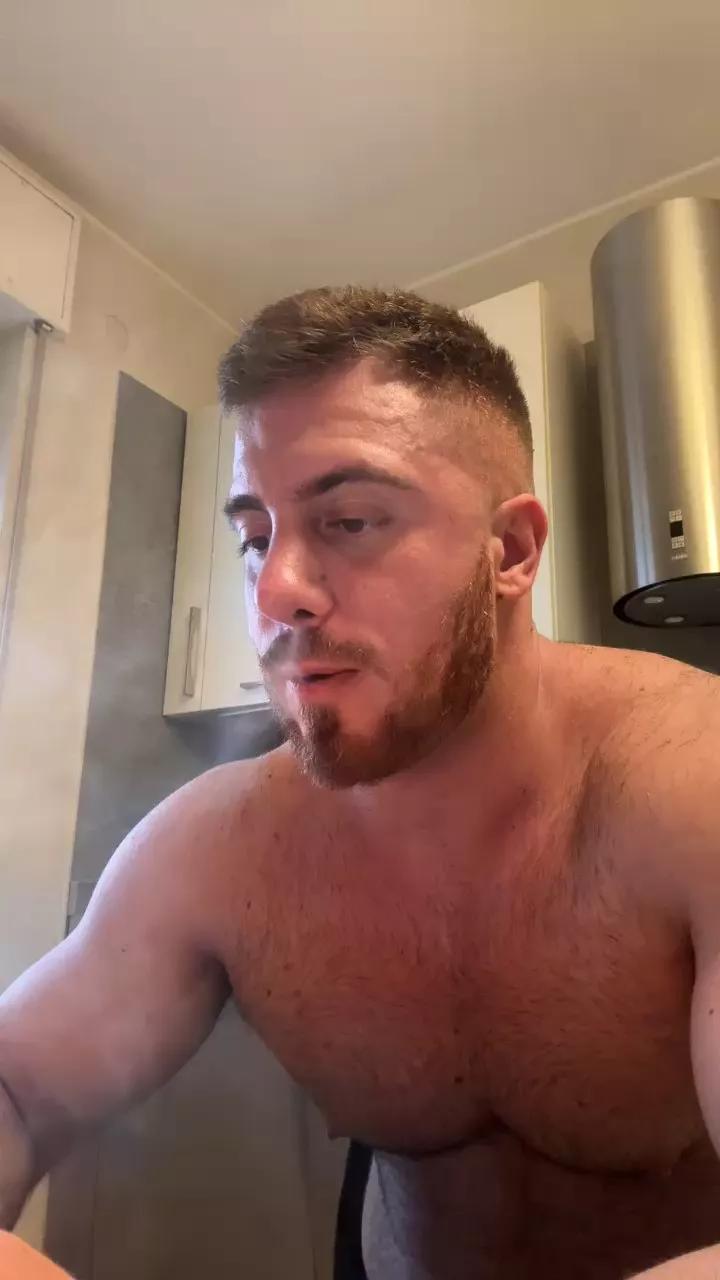 Bigwhitebull