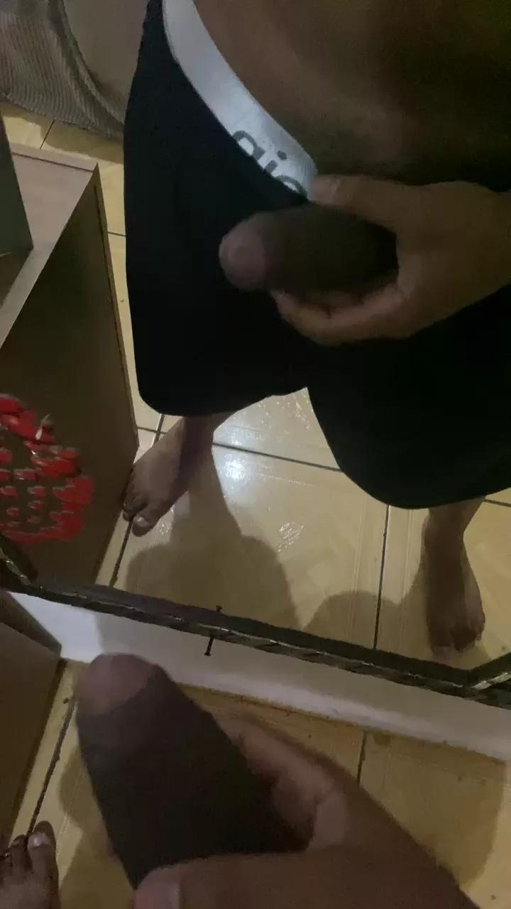 legal19