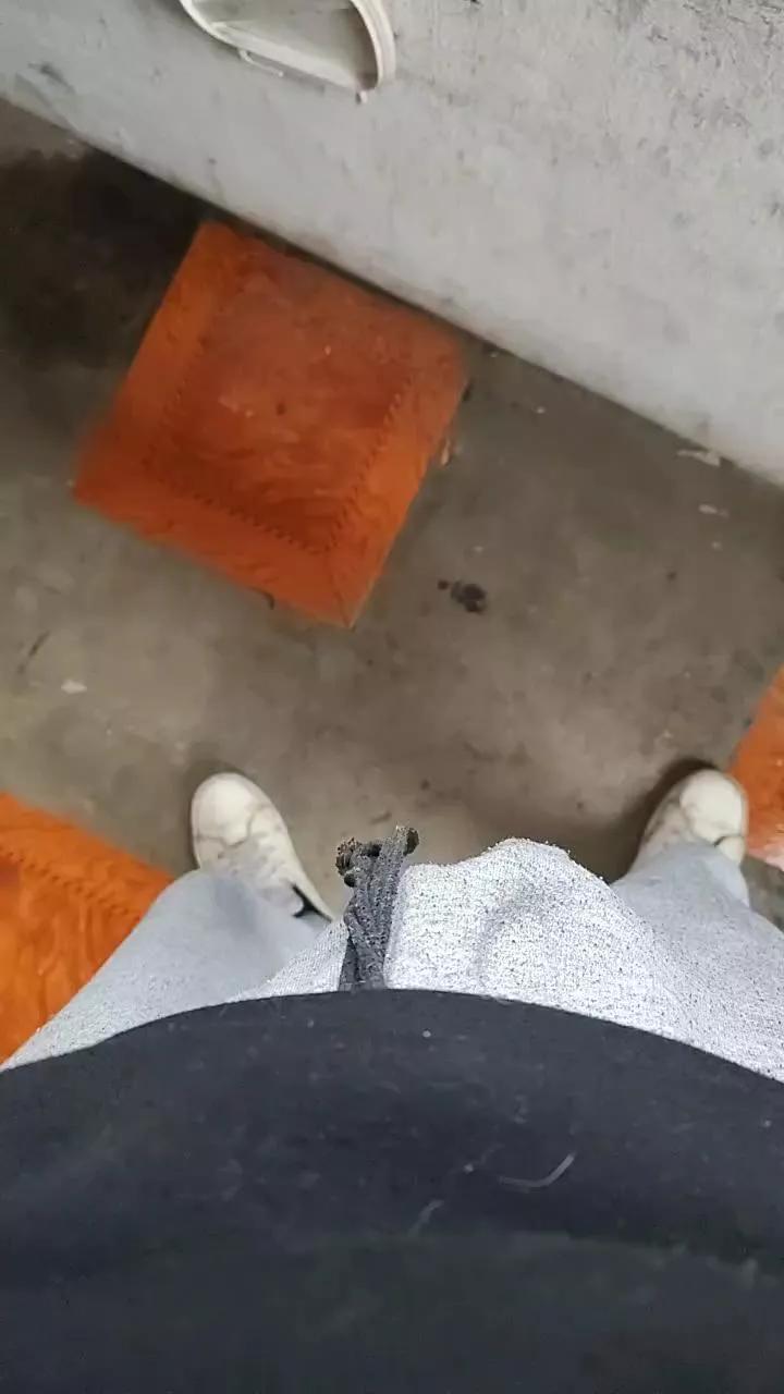 SexZN_35