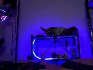 cyberxgoddess on CamSoda 