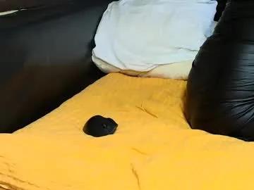 peter196888 on Chaturbate 